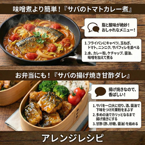 国産 訳あり 無塩 さばフィレ 1kg 冷凍