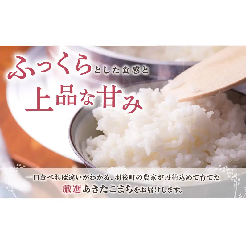 秋田県 羽後町産 あきたこまち 精米 10kg（5kg×2袋）【 米 お米 白米 精米 アキタコマチ 美味しい 秋田 羽後 】