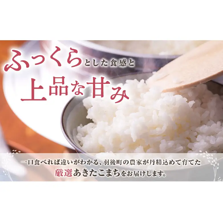 秋田県 羽後町産 あきたこまち 精米 10kg（10kg×1袋）【 米 お米 白米 精米 アキタコマチ 美味しい 秋田 羽後 】