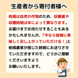 先行予約 贈答用 愛南ゴールド（河内晩柑）約10kg みかん 蜜柑 河内晩柑 グレープフルーツ ギフト 贈答品 お祝い プレゼント 果実 ジュース ゼリー 正品 人気 果汁 さわやか 甘い 夏 デザート 柑橘 果物 フルーツ 前田ファーム 愛媛 愛南 【発送期間 3月下旬～5月上旬 】(なくなり次第終了)