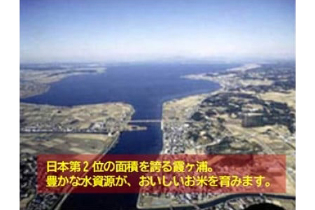 茨城県産 こしひかりミックス 令和7年産白米15kg B07-019