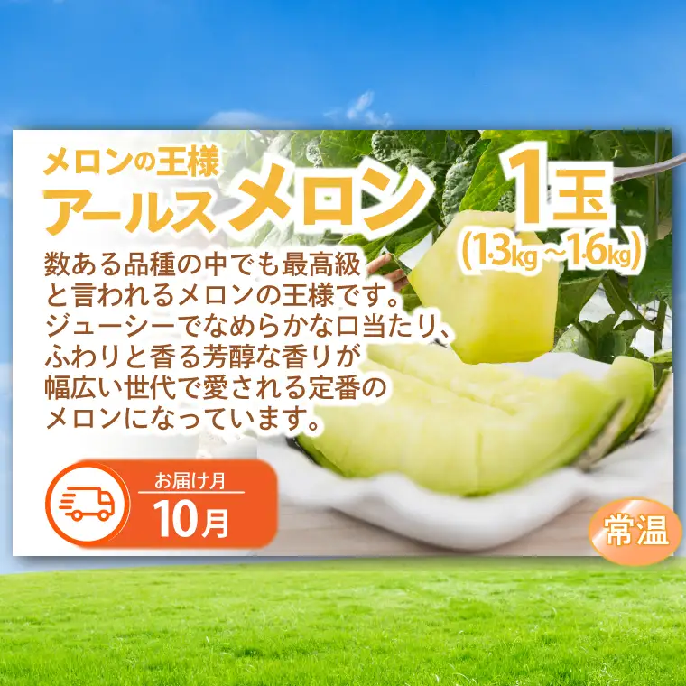栃木県産 フルーツ 定期便 年6回 道の駅ましこ AA046