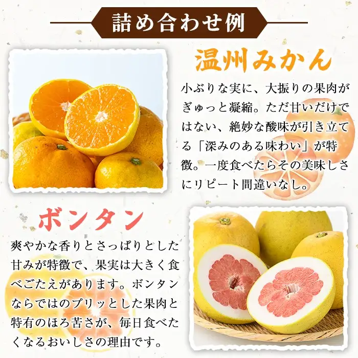 ＜先行予約受付中！2026年12月上旬以降順次発送予定＞竹ん子山の季節の柑橘詰め合わせ(約5kg) 国産 鹿児島県産 阿久根産 柑橘 果物 温州みかん ミカン 蜜柑 ボンタン ぼんたん 文旦 しらぬい しらぬひ 不知火 サワーポメロ フルーツ 果実 期間限定 セット 詰合せ バラエティ 【竹ん子山】akn097-13