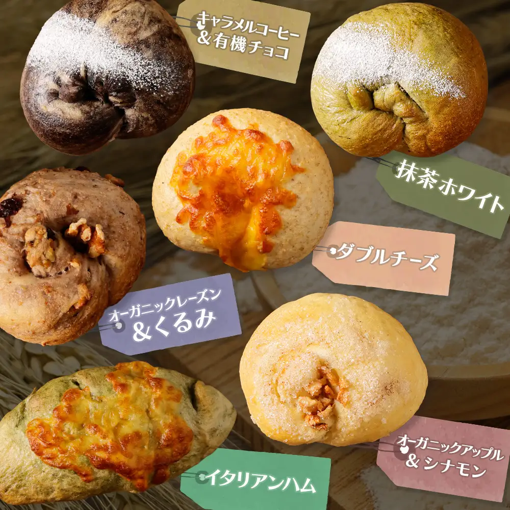 【定期便：全2回】トモヱベーグル ギフトセット「北の麦輪（むぎわ）１８個セット」【33000402】