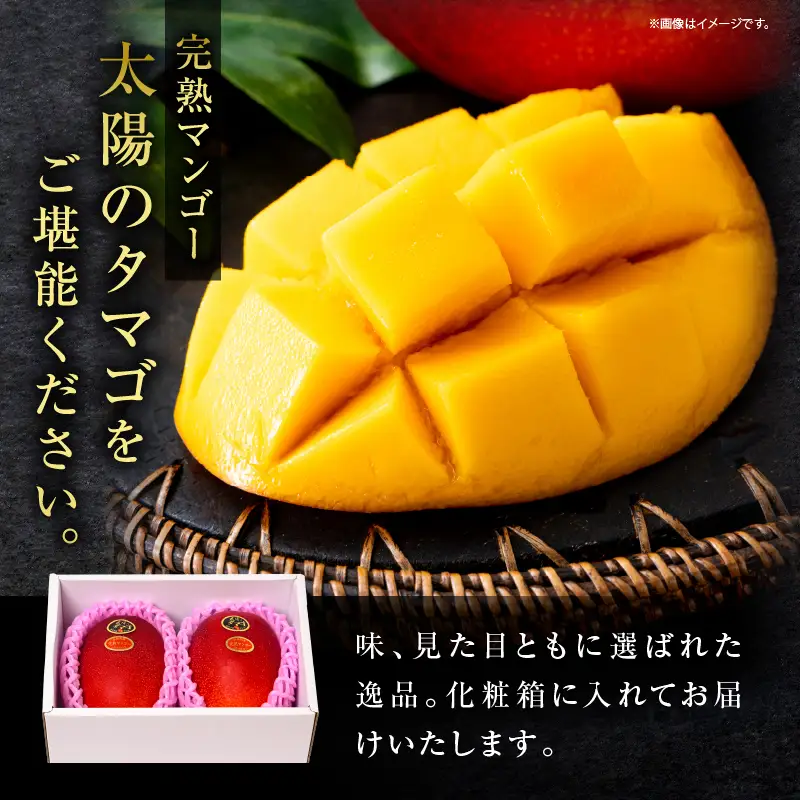 先行予約 完熟マンゴー 太陽のタマゴ 4L × 2玉 2027年産_IG5-25