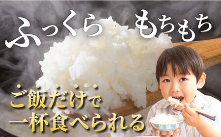【3回定期便】令和8年産 コシヒカリ 10kg 定期便 精米 白米