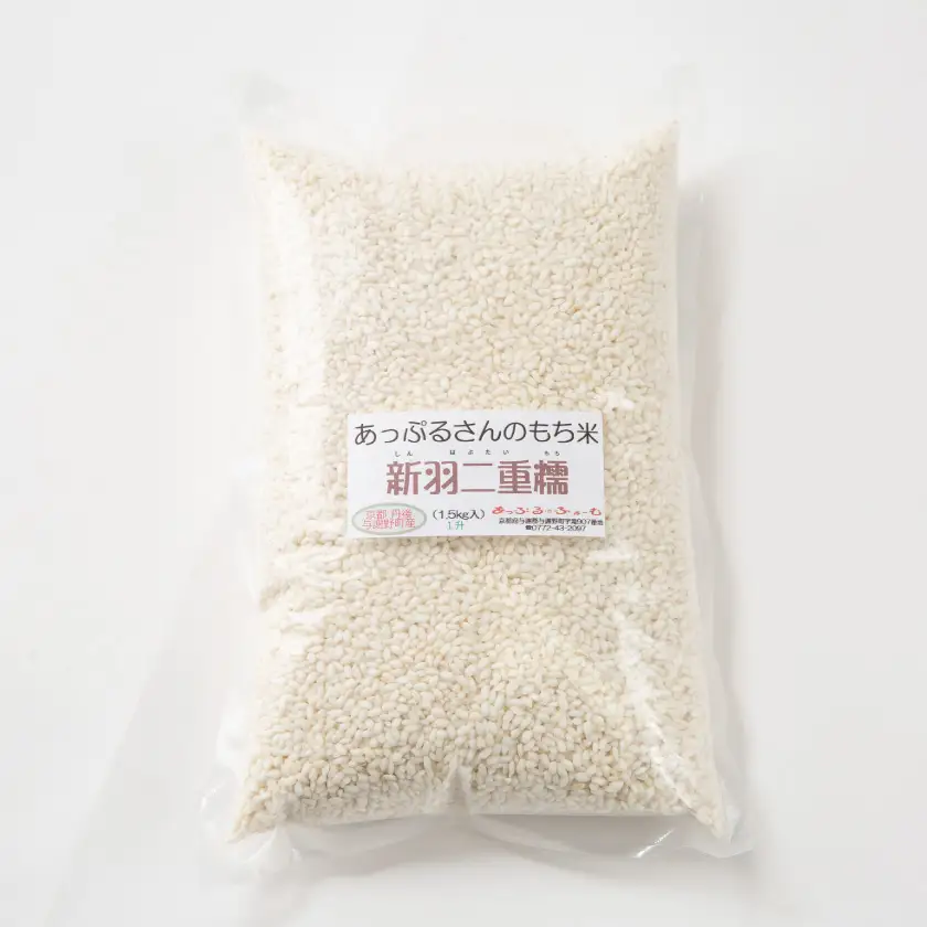 【京都府固有種・希少もち米】 新羽二重糯1.5kg×4袋 　冷めてもやわらかい、最高級のもち米【1713955】