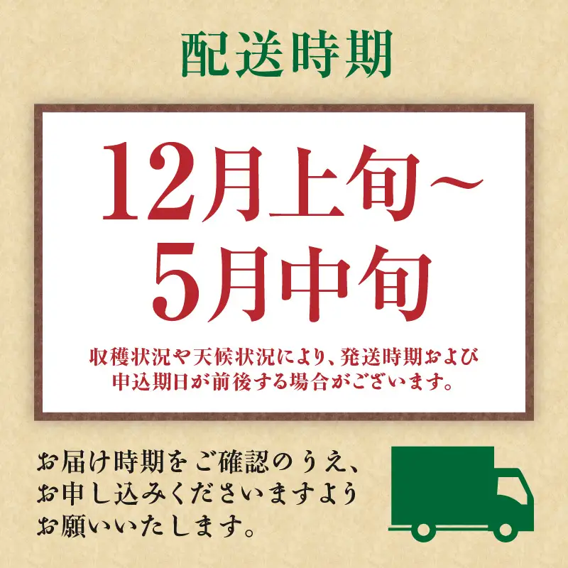 ＜ 先行予約 ＞ 三浦の 匠野菜 M127-001 野菜 季節の野菜 三浦かぶ