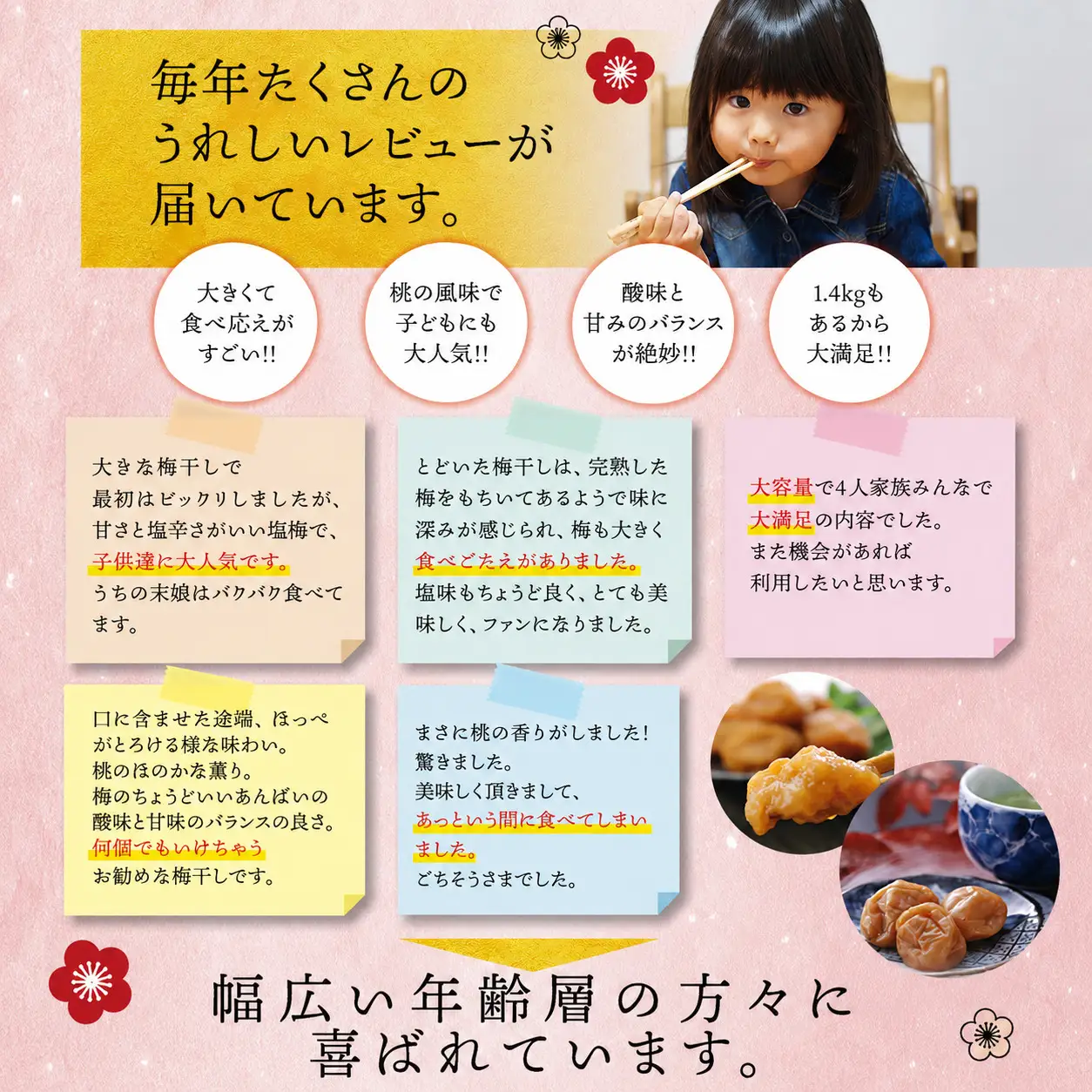 梅干し 紀州南高梅桃風味梅干し 1.4kg 大粒 ご家庭用【inm600C】