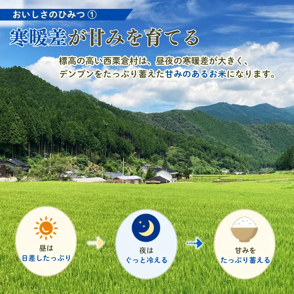 ５年連続完売のお米！ あわくら源流米 あきたこまち 玄米 5kg 【 3回 定期便 】 令和８年産 新米 先行予約 K-bb-BFCA