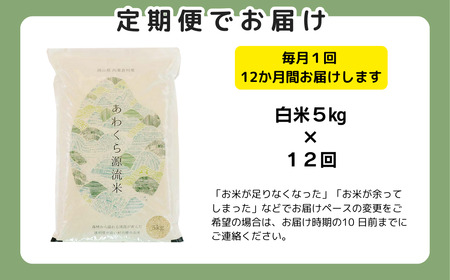 【令和8年産新米・先行予約】【12回定期便】あわくら源流米 あきたこまち 白米 5kg｜西粟倉村産・昼夜寒暖差が育む甘み｜ふるさと納税 K-bf-DFCA