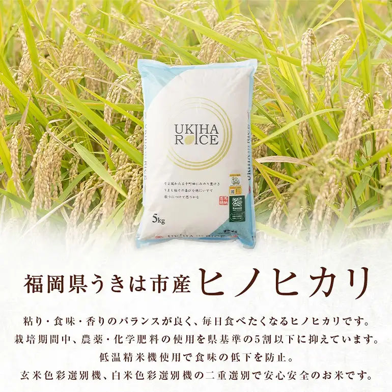 【3ヶ月定期便】 米 白米 精米 UKIHA RICE 白米 5kg×3回 特別栽培米 計15kg ヒノヒカリ 令和8年産 新米 みずほファーム A06-007
