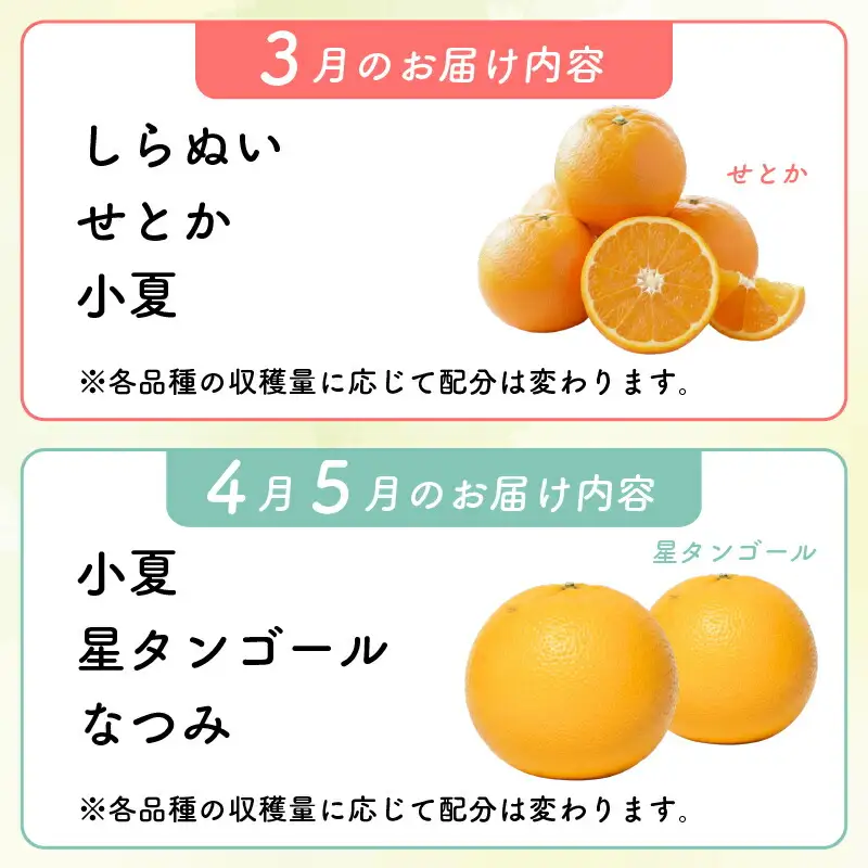 【 柑橘 詰め合わせ 5㎏ 】訳あり 柑橘