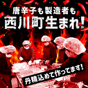 FYN9-733 山形県 西川町産 唐辛子使用！ 月山なんばこ 超激辛 3本セット 調味料 食品 香辛料 スパイス 唐辛子 とうがらし 辛い 手作り 命がけ 山形県 西川町 月山