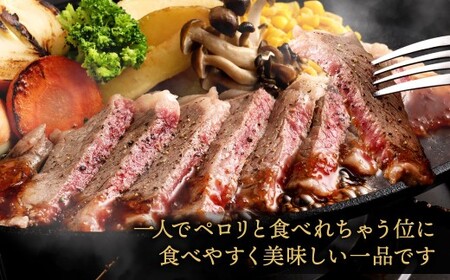 福岡牛サーロインステーキ 約180g（約180g×1枚）福岡牛 サーロイン ステーキ 肉 にく お肉 牛肉 真空パック 冷凍 福岡県 北九州市