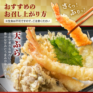 S065-006_活き〆冷凍車海老 500g