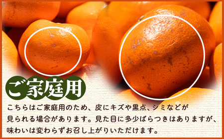 【訳あり】家庭用露地みかん 約5kg ミカン蜜柑 先行受付 om-0003