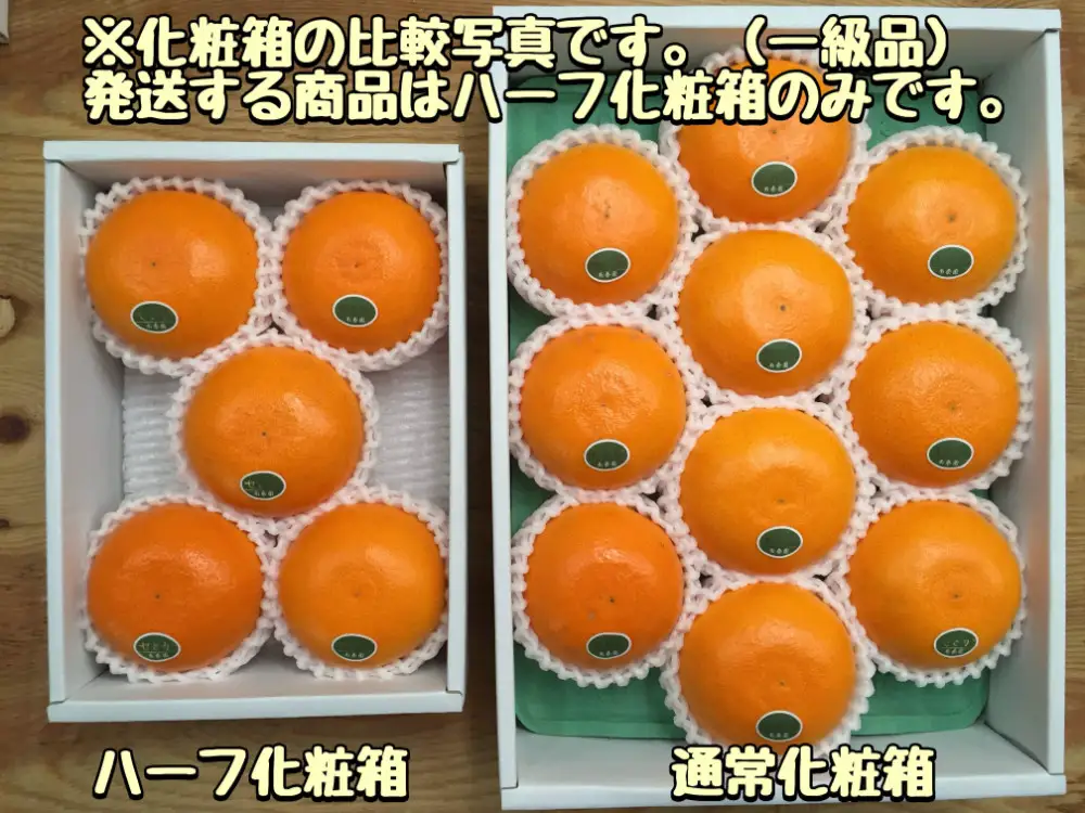［2箱セット］ハーフ 化粧箱 柑橘の大トロ ハウス せとか 厳選 5玉入 × 2箱 南泰園