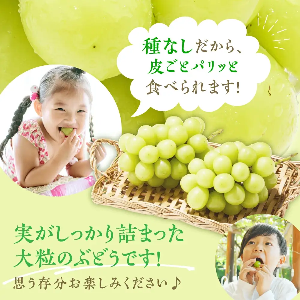 ぶどう 冬 に味わう シャインマスカット 約1.4kg ブドウ
