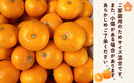 ＜せとか（家庭用）約3kg＋300g＞ 自宅用 訳あり ワケアリ 果物 くだもの フルーツ ミカン みかん セトカ 蜜柑 高級柑橘 柑橘の大トロ 柑橘 特産品 笑丸 愛媛県 西予市 常温『2027年3月上旬～4月上旬頃に順次出荷予定』AAN0087