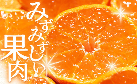 【贈答用】露地みかん 約5kg 小玉ミカン 先行受付 om-0004
