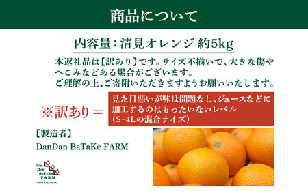 【先行予約】【訳あり】清見オレンジ 約5kg　※2027年3月中旬より順次発送予定 IKTAU015
