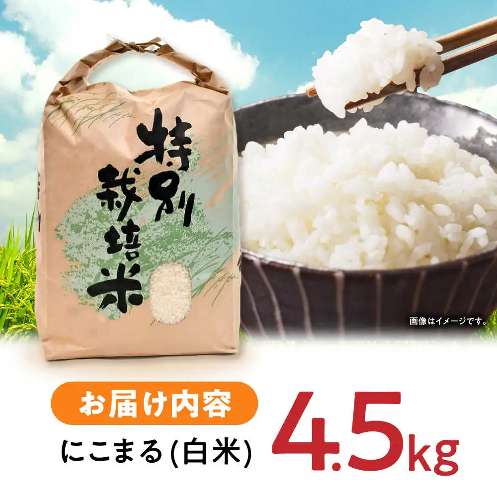【R7年産】九州のこだわり「にこまる」白米 4.5kg / 米 こめ コメ お米 おこめ 白米 精米 白ご飯 にこまる ニコマル 長崎県産 / 諫早市 / 上島農産[AHAS012]