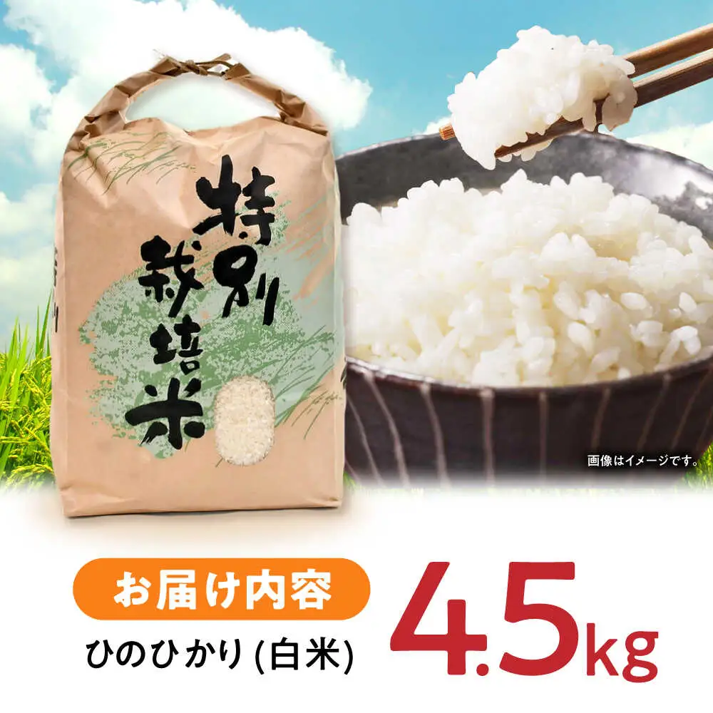 【R7年産】九州のこだわり「ひのひかり」白米 4.5kg / 米 こめ コメ お米 おこめ 白米 精米 白ご飯 ひのひかり ヒノヒカリ 長崎県産 / 諫早市 / 上島農産[AHAS014]