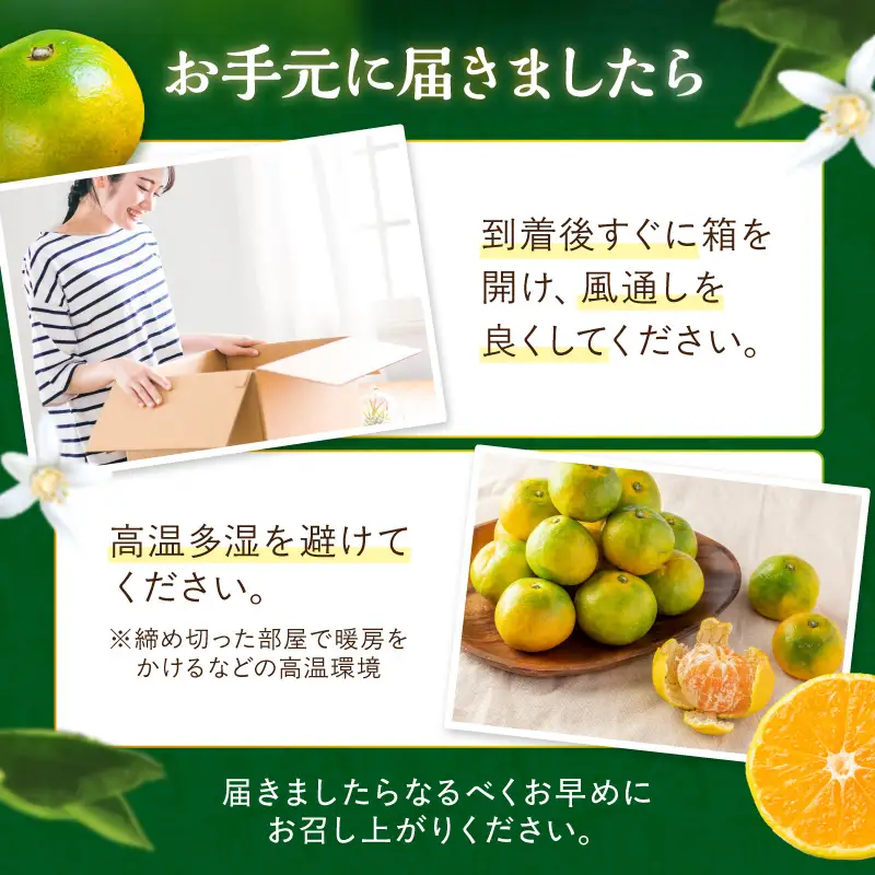 御坊市・日高川町・由良町産 ゆら早生みかん（ゆらっ子）5kg《先行予約》【0552-3】