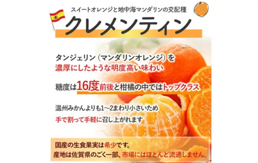 山本農園のクレメンティン 6kg （3kg × 2箱） 【2027年1月下旬-3月上旬】 クレメンティン 希少 ヨーロッパ生まれ スペイン原産 太良みかん みかん ミカン 蜜柑 フルーツ くだもの 果物 太良町 国産 甘い 美味しい 佐賀県 太良町 NC9x2