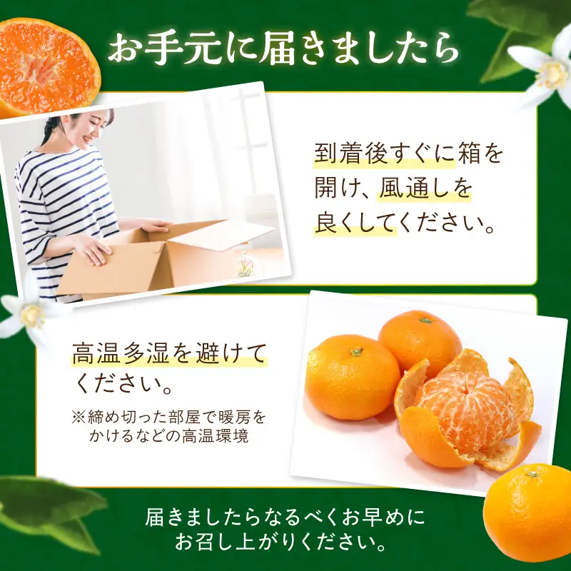 御坊市・日高川町・由良町産 温州みかん（ゆらっ子）5kg《先行予約》【0553-3】