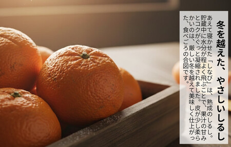 みかん 春待ち 越冬みかん 箱込2.5kg(内容量2.3kg) 等級／サイズミックス 和歌山県産 産地直送