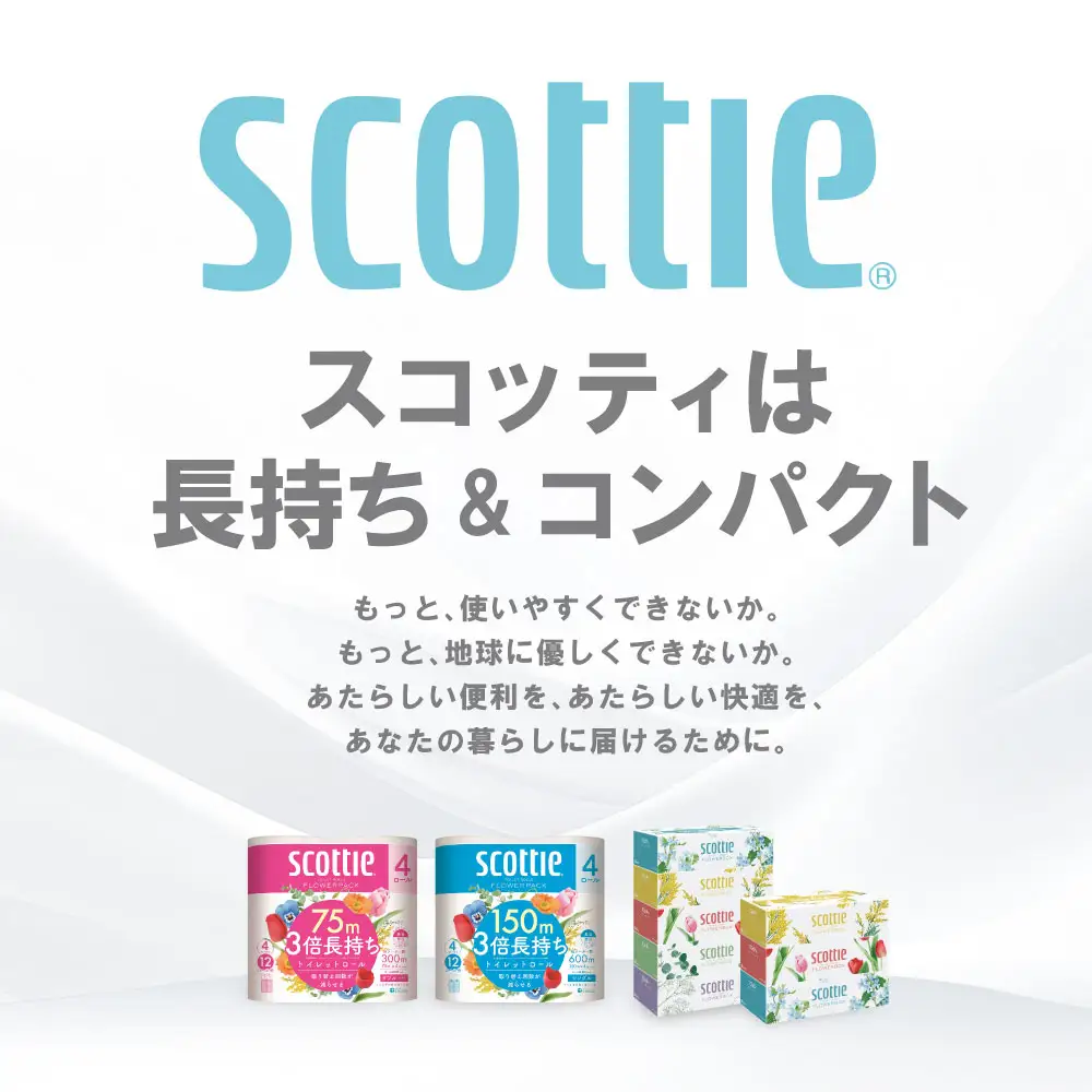 【定期便3回】【毎月お届け】【スコッティ】 トイレットロール ダブル フラワーパック 3倍長持ち 4ロール 計12ロール 香りつき トイレットペーパー 日用品 生活必需品 防災備蓄 ストック 備蓄 新生活 防災 消耗品 生活用品 日用消耗品 熊本県 八代市