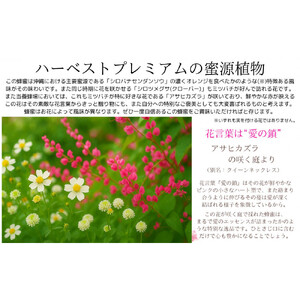 沖縄ハニー　ハーベスト プレミアム 250g