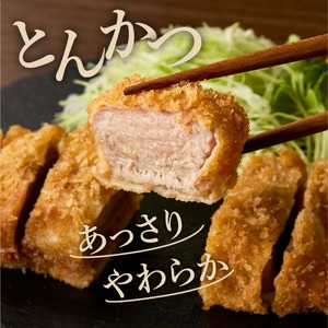 箱館ポーク ヒレ 1kg 国産 豚ヒレ肉 ヒレカツ用 SPF豚_HD188-002