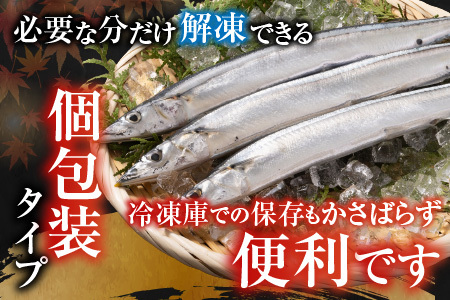 【北海道根室産】冷凍さんま60尾 D-30002