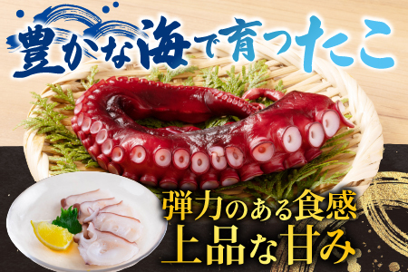 【北海道根室産】お刺身用たこ足2本(計2～2.5kg) C-36068