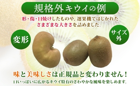 渋谷農園 キウイフルーツ（グリーン）不揃い 4kg以上 キウイ グリーン グリーンキウイ フルーツ 栄養 ビタミンC 食物繊維 酵素 カリウム 葉酸 ビタミンE 低カロリー 果実 果物 お取り寄せ 埼玉県 蓮田市