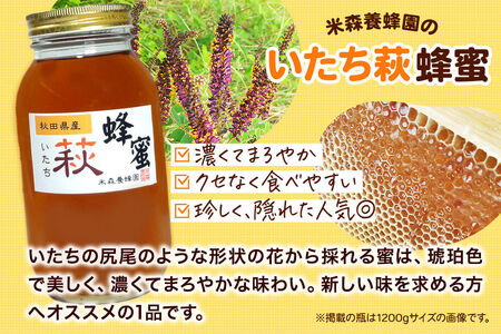 はちみつ いたち萩蜂蜜 国産 2400g×1本 秋田県産100％ 秋田白神の天然蜂蜜 米森養蜂園 [はちみつ 天然 いたち萩蜂蜜 2400g1本 蜂蜜 国産 ハチミツ ハニー 養蜂 白神山地 自然 まろやか 大容量]