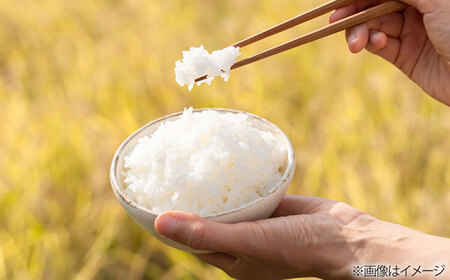 【全3回定期便】とくべつの中のとくべつ 特別栽培米 3kg 夢つくし 吉富町/(株)やました[BGBX002]