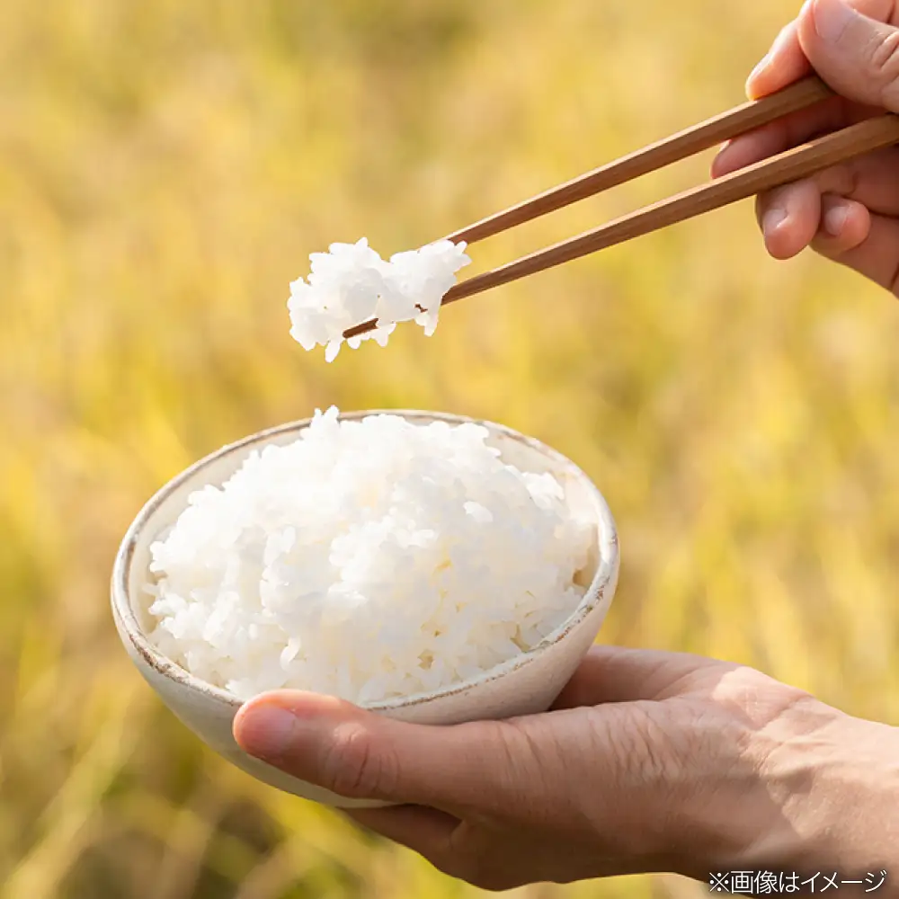 【全12回定期便】とくべつの中のとくべつ 特別栽培米 5kg 夢つくし 吉富町/(株)やました[BGBX008]
