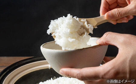 【全12回定期便】農薬を使わずに育てた 山つき 3kg 夢つくし 吉富町/(株)やました[BGBX012]