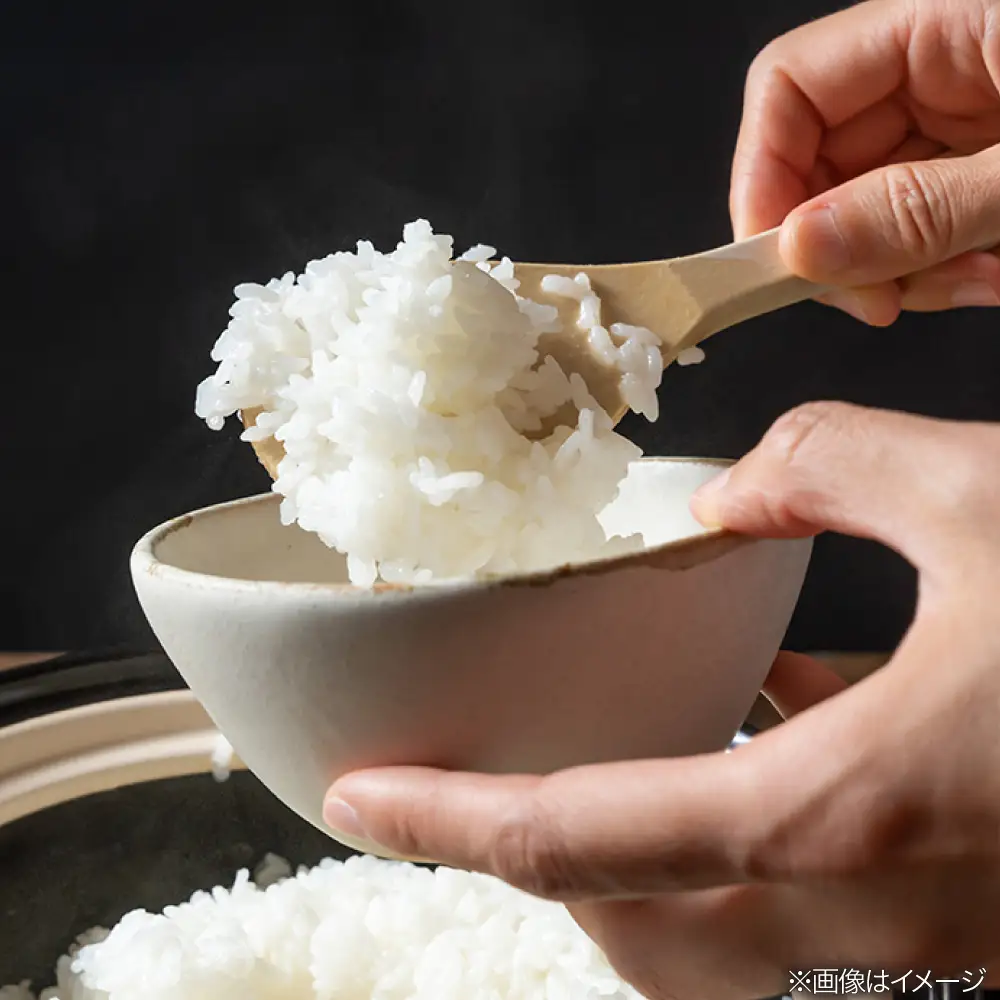 【全6回定期便】農薬を使わずに育てた 山つき 5kg 夢つくし 吉富町/(株)やました[BGBX015]