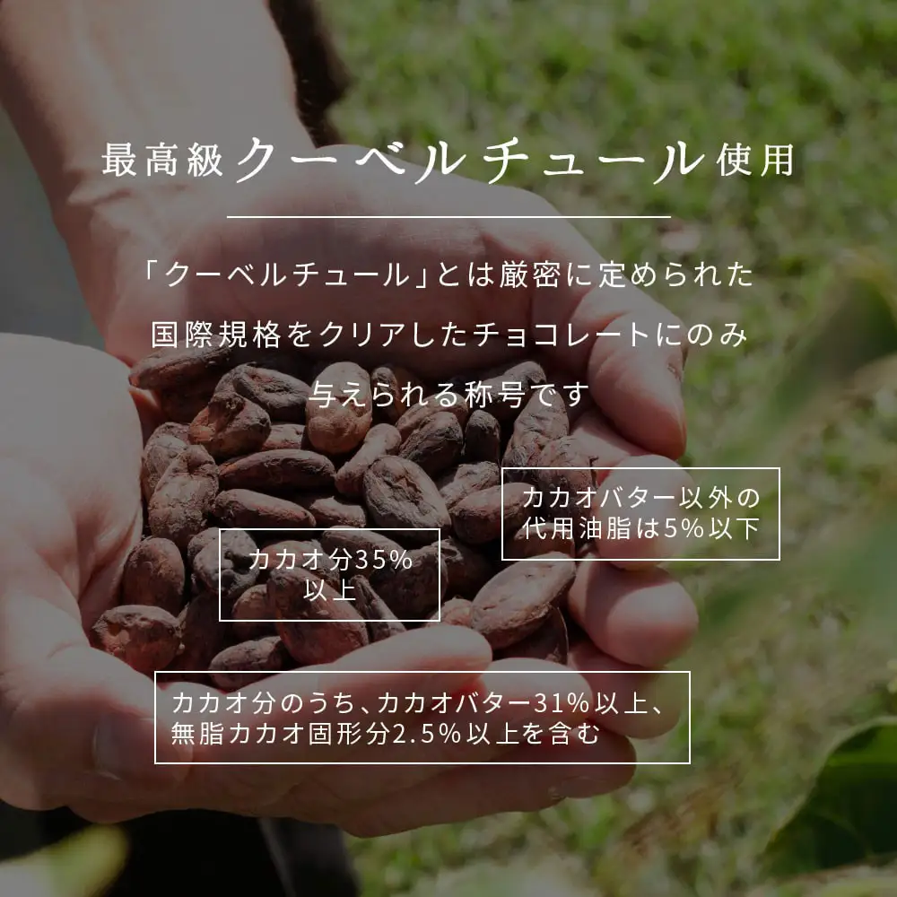 【訳あり】割れチョコ ミルク 360g(180g×2袋)クーベルチュール使用