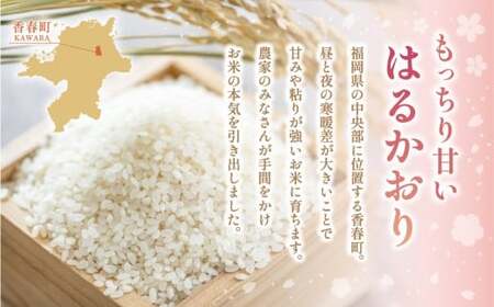 【1ヶ月毎4回定期便】 はるかおり 10kg 計40kg ／ 米 コメ お米 ライス ご飯 ごはん 飯 食品 精米 定期便 常温 福岡県 香春町