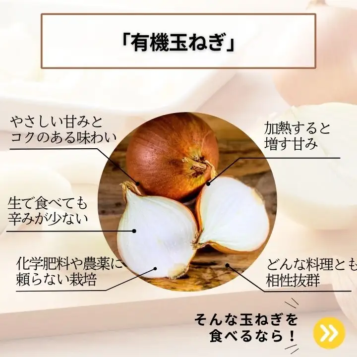 玉ねぎ 10kg / 玉ねぎ