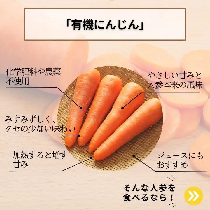 人参 10kg 人参