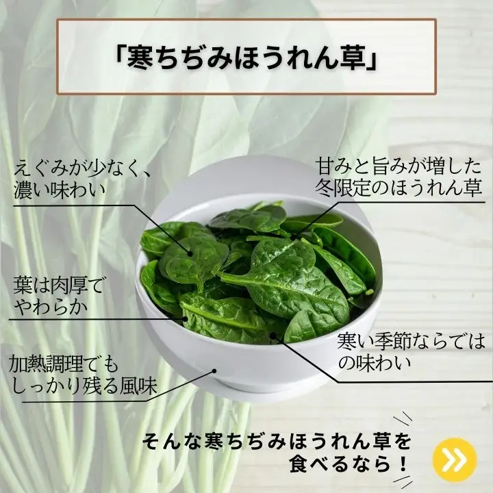 ほうれん草 2kg 10袋 ほうれん草 ほうれんそう