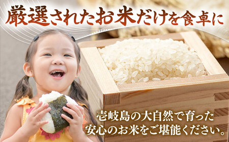 【全3回定期便】令和8年産米 壱岐産米 こしひかり 10kg 《壱岐市》【長米壱岐営業所】[JCZ032]