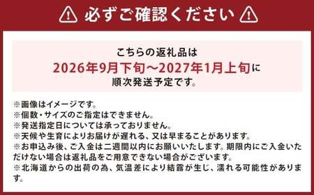 北海道産 じゃがいも 男爵 M～2Lサイズ混載 約10kg 1箱 山田農場 ジャガイモ 芋 いも イモ 国産 【2026年9月下旬-2027年1月上旬迄発送予定】